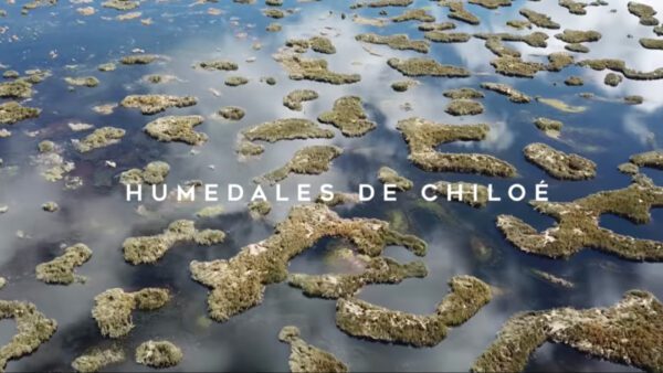 Los humedales de Chiloé