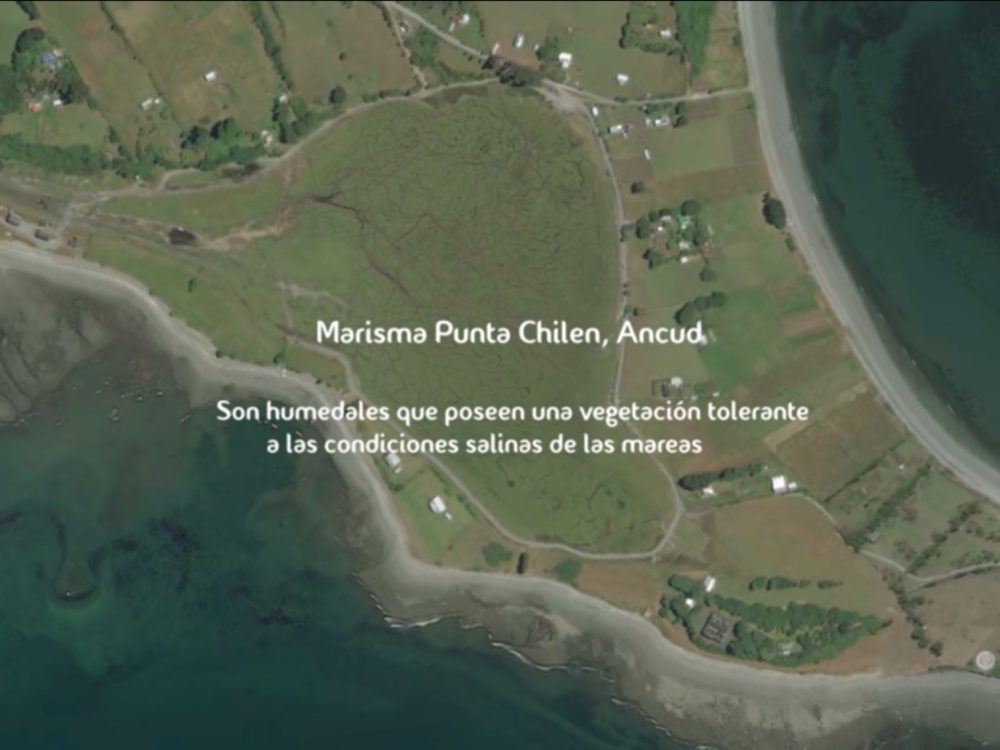 Humedales de Chiloé