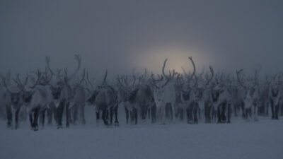 On thin ice
