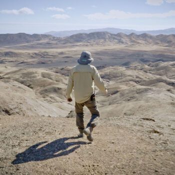 Los documentales y cine de vida salvaje que trae el Festival Santiago Wild y cómo inscribirse para verlos