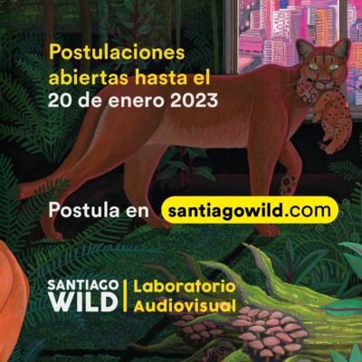 <strong>¡Atención cineastas! Postula y participa de Santiago Wild 2023: Bases disponibles</strong>
