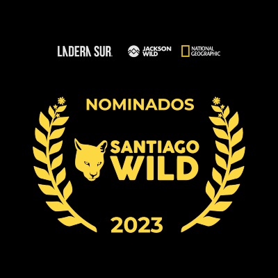Festival de Cine Santiago Wild 2023 anuncia los 20 nominados: conoce las nuevas promesas del cine Latinoamericano de vida salvaje y medio ambiente