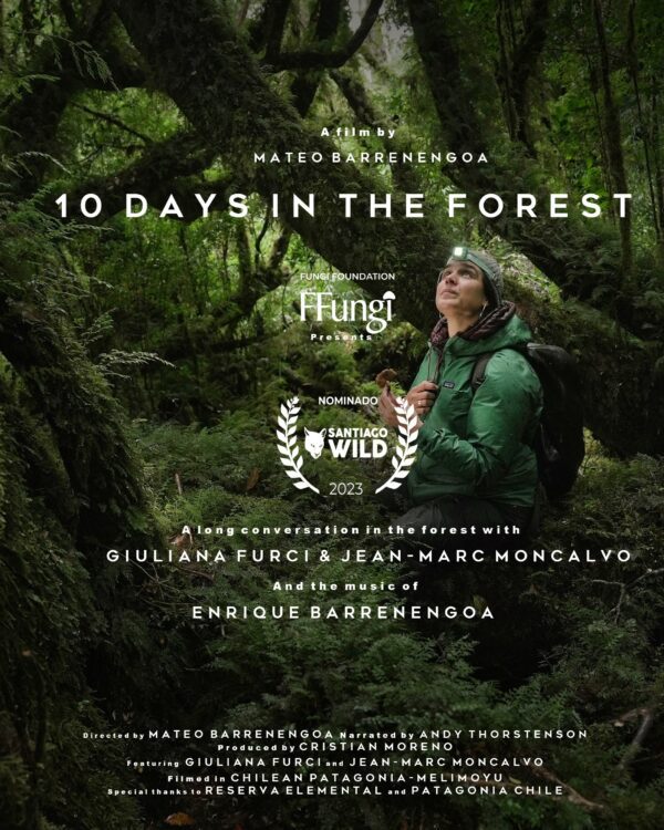 10 días en el bosque