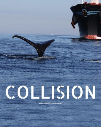 Collision
