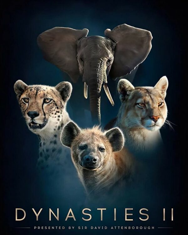 Dynasties II – Pumas (BBC)