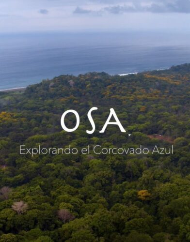 Osa: Explorando el Corcovado Azul (NatGeo Pristine Seas)