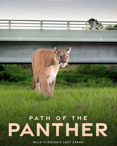 La Senda del Puma