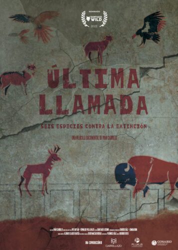 Última llamada: seis especies contra la extinción