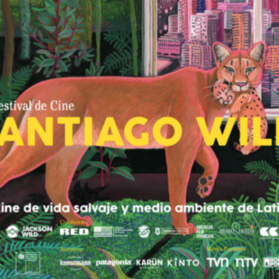 Naturaleza y medioambiente: Más de cuarenta películas y funciones gratis trae el Festival de Cine Santiago Wild