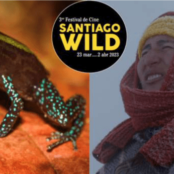 Festival de Cine Santiago Wild: ¿dónde ver las películas colombianas nominadas?