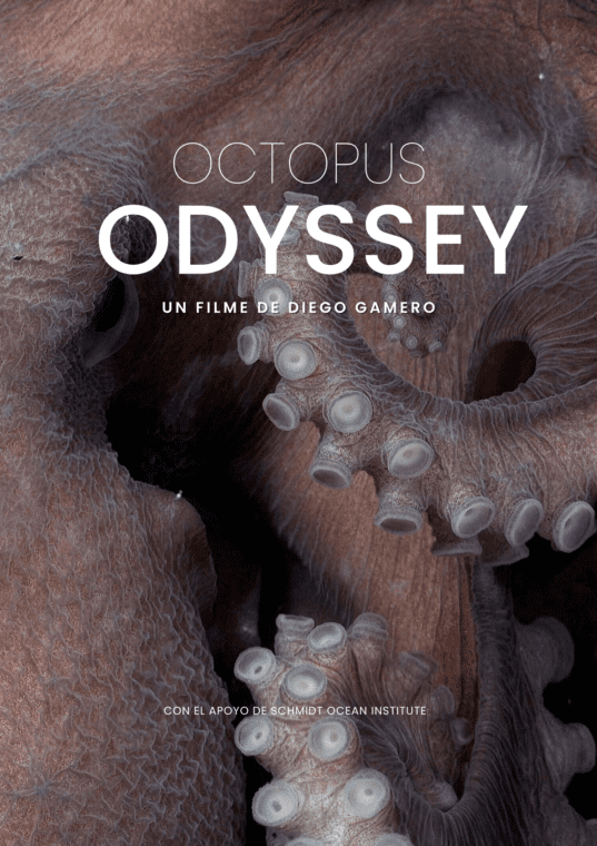 Octopus Oddysey