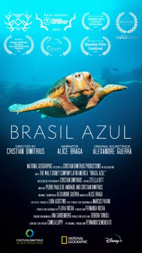 Blue Brazil