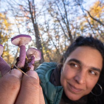 Documental “Flora, Fauna y Funga” será el protagonista de la noche de National Geographic en el Festival de Cine Santiago Wild