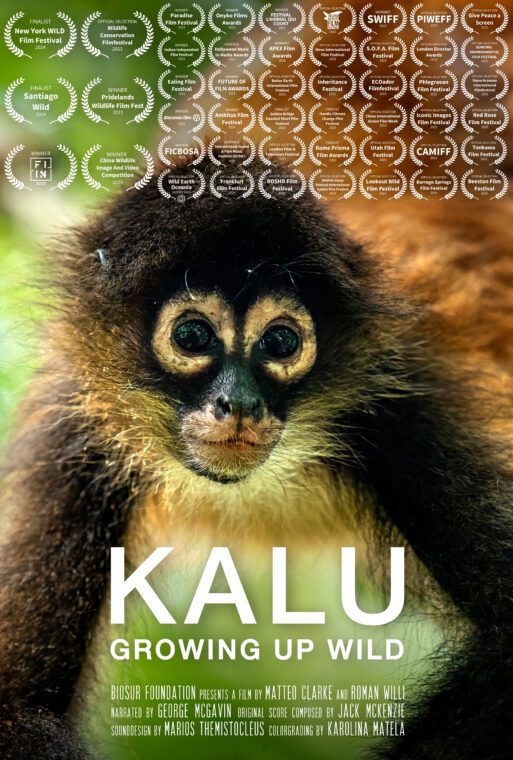 Kalu – Growing up wild