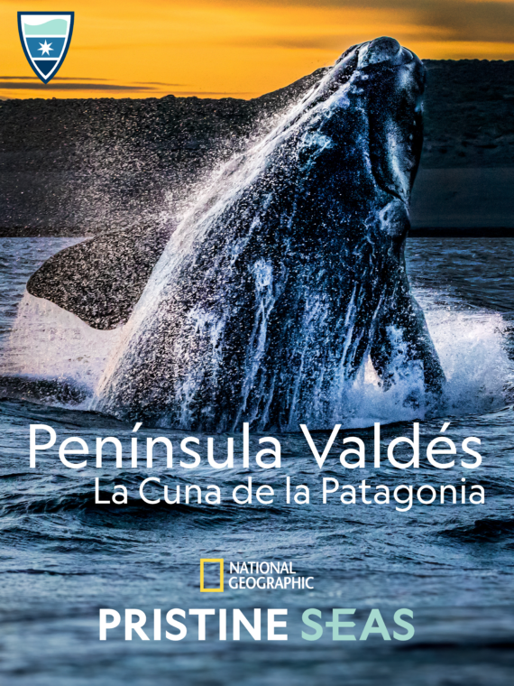 Peninsula Valdes: The Cradle of Patagonia