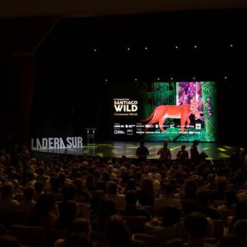 Santiago Wild 2024: vuelve la aventura cinematográfica de vida salvaje y medio ambiente de manera presencial y gratis a través de streaming