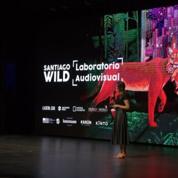 Santiago Wild 2024: Una aventura cinematográfica