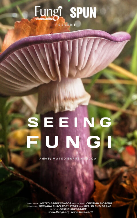 Seeing Fungi