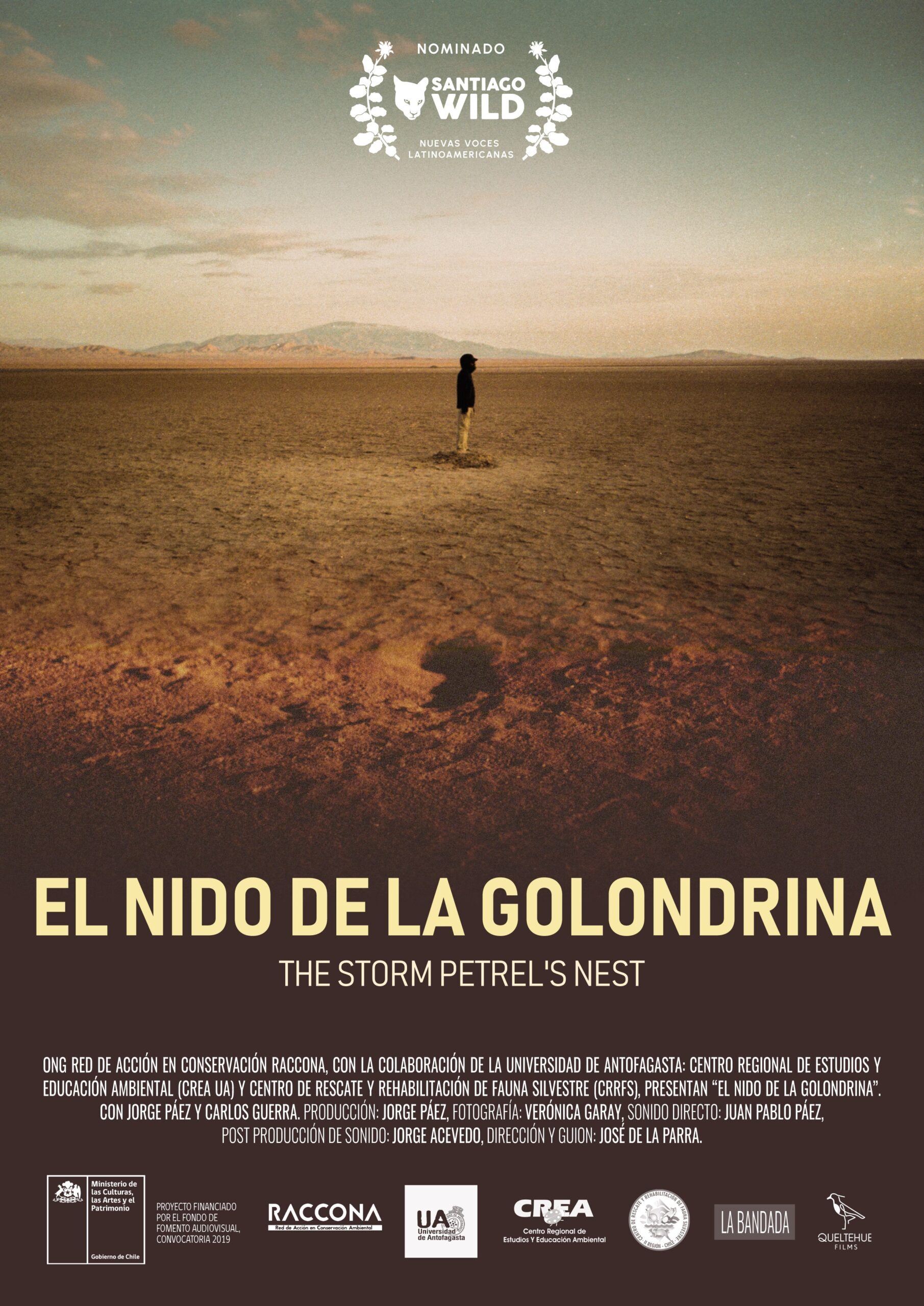 El nido de la golondrina Festival Santiago Wild