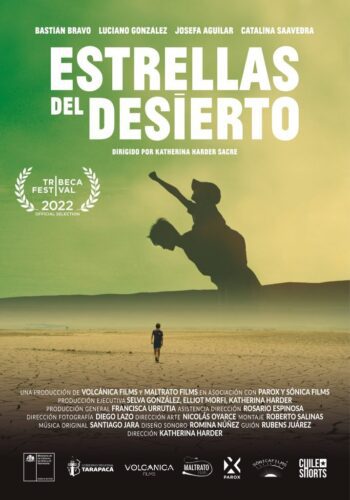Estrellas del Desierto