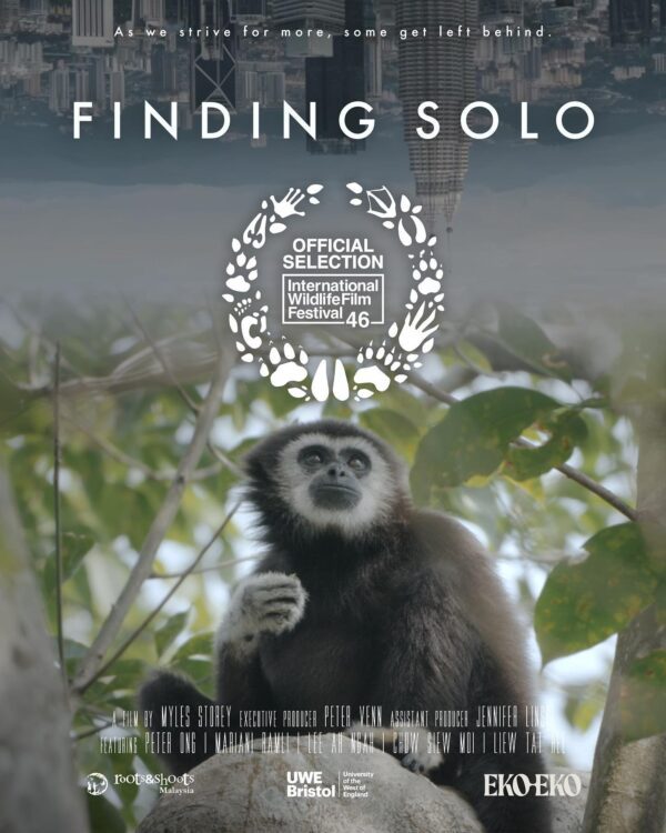 Finding Solo