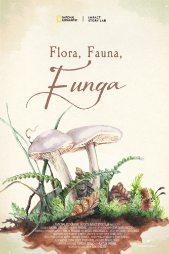Flora, Fauna, Funga