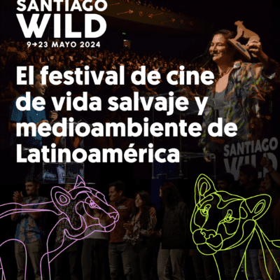 ¡Prepárate para la inmersión de la naturaleza y la emoción de la vida salvaje con la llegada del emocionante Festival de Cine Santiago Wild 2024!