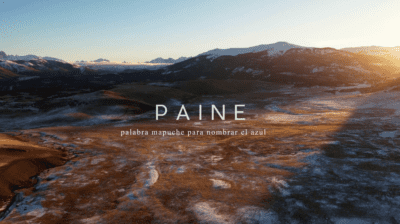 Paine