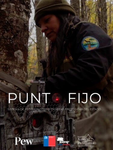 Punto Fijo