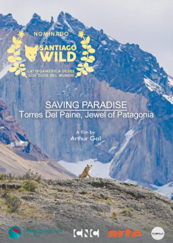 Saving Paradise: Torres del Paine