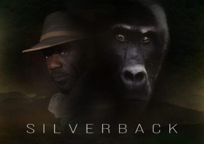 Silverback