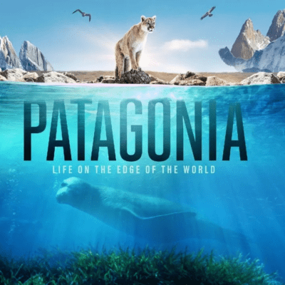 El documental sobre la Patagonia narrado por Pedro Pascal se estrena en el Festival Santiago Wild