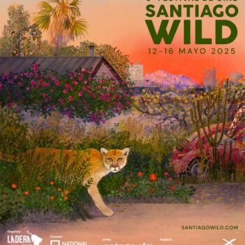 Festival internacional de cine de naturaleza