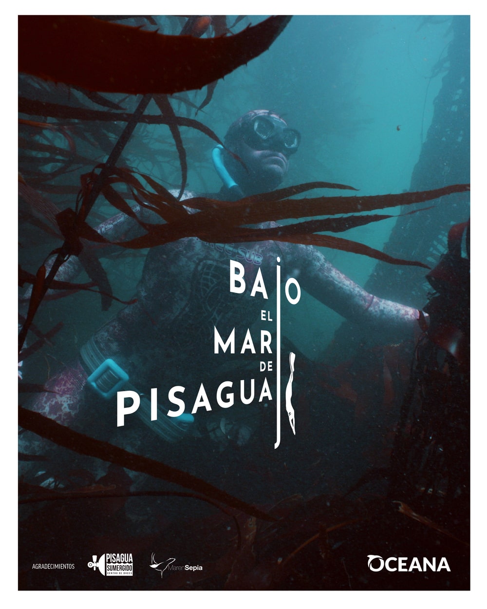 Bajo el mar de Pisagua