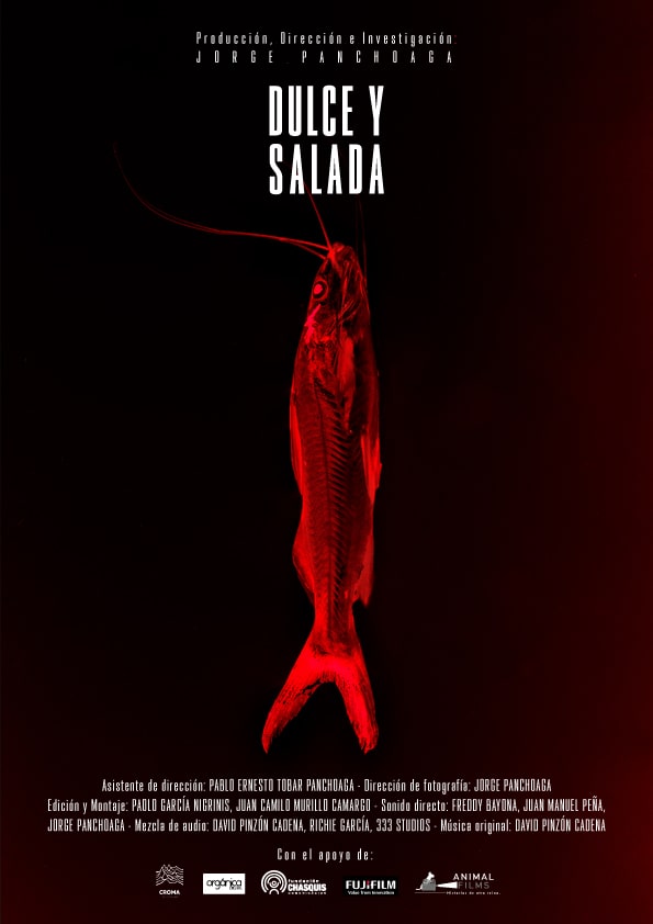Dulce y Salada