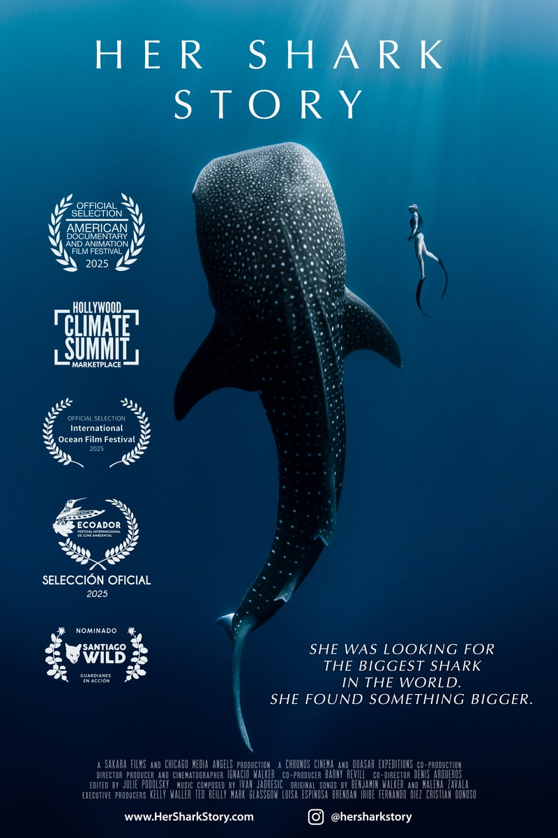 Her Shark Story