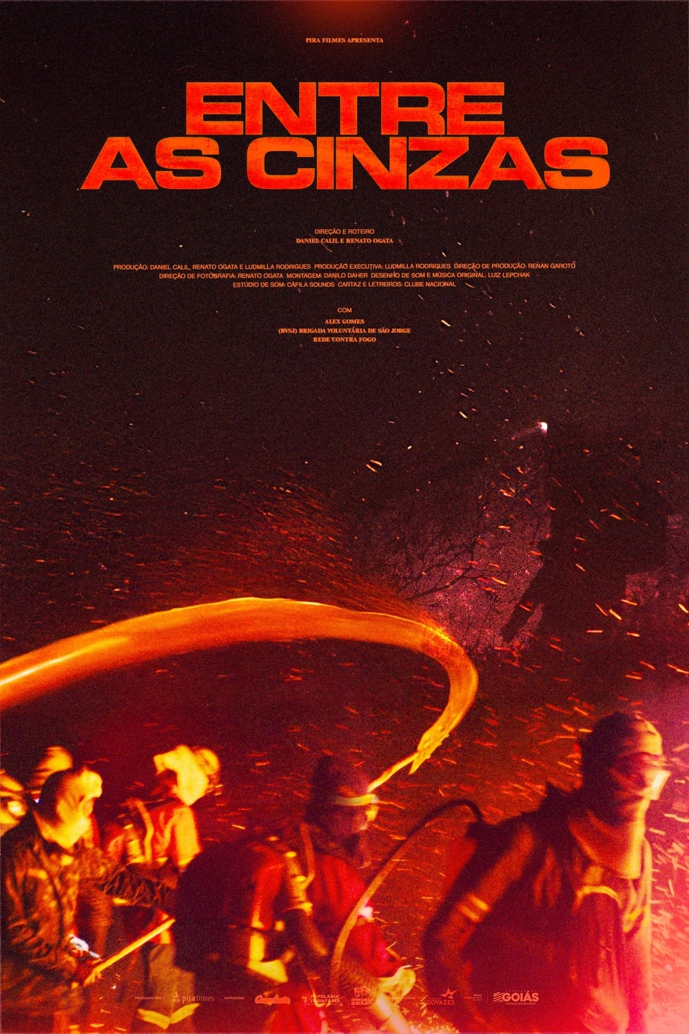 Into the Ashes