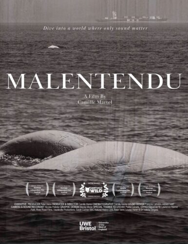 Malentendu