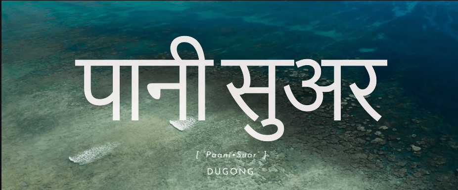 Paani Suar – Dugong