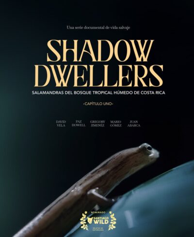 Shadow Dwellers
