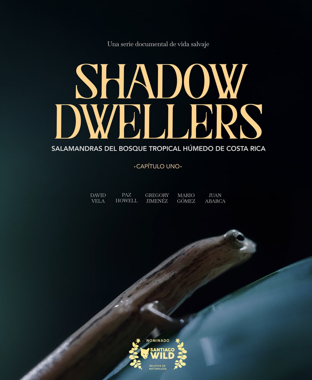 Shadow Dwellers