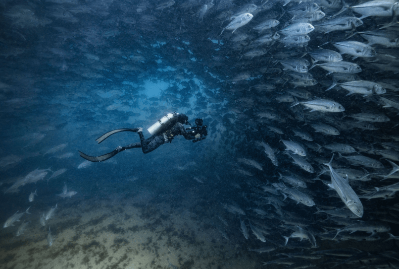 Exploradores del mar: de la ciencia al storytelling