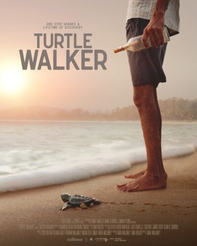 Turtle Walker