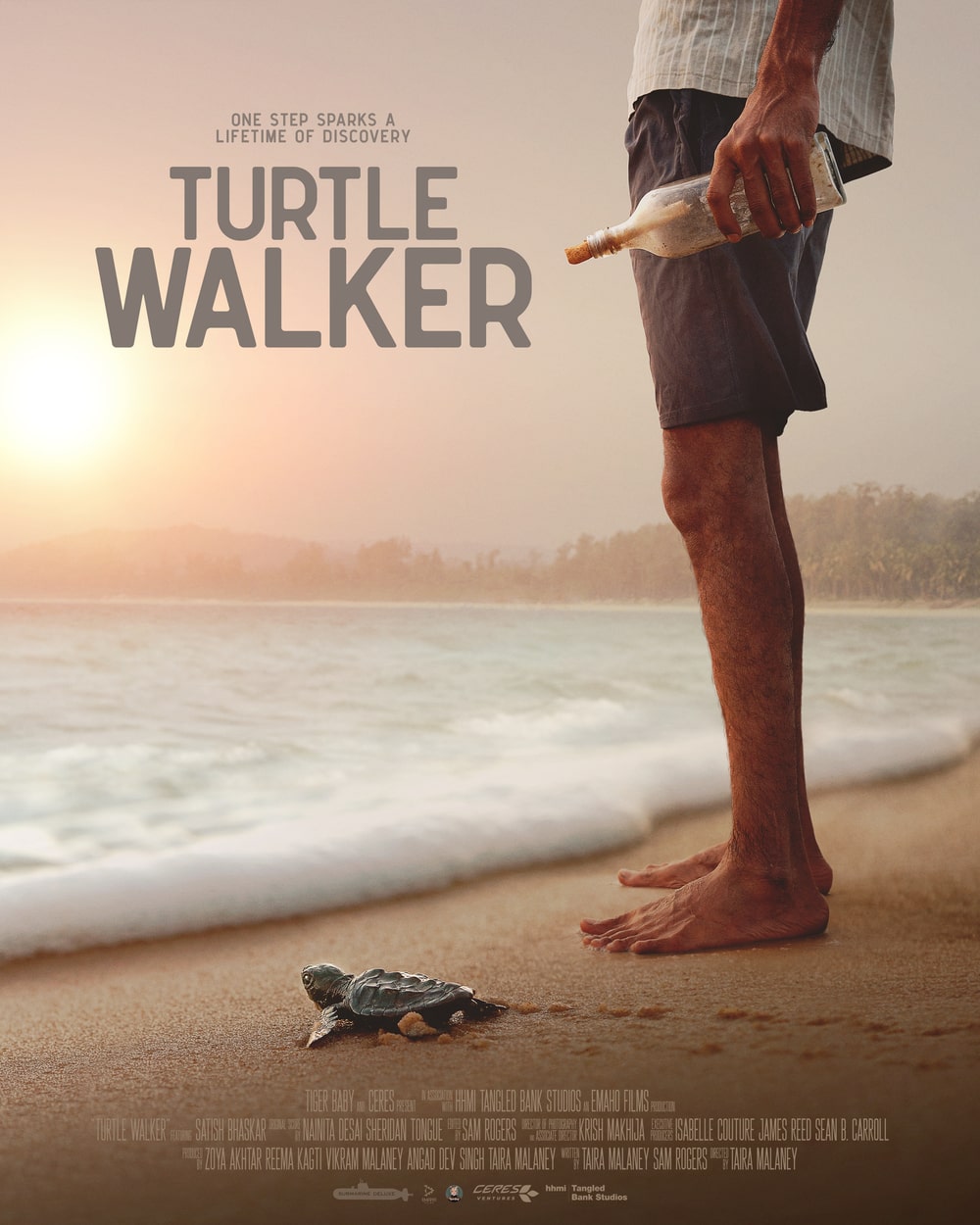 Turtle Walker