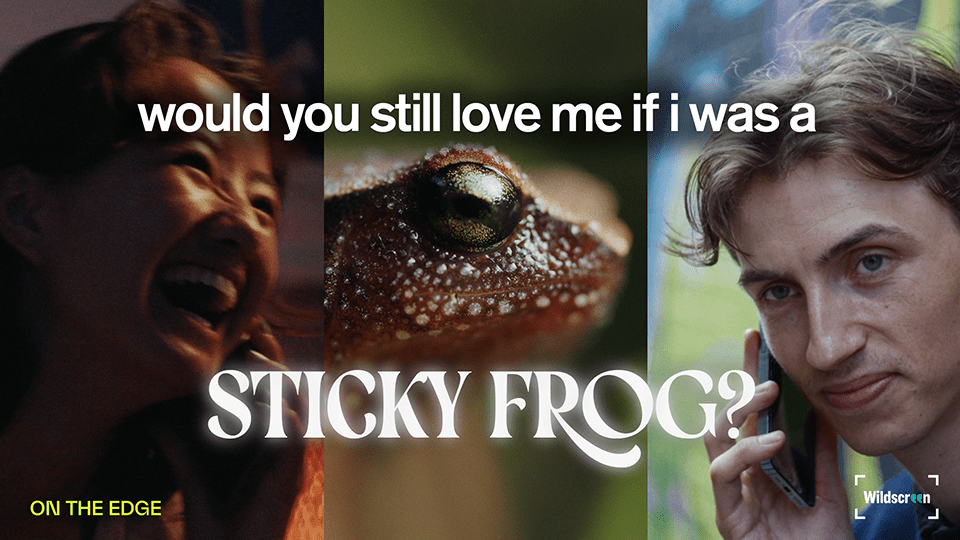 Would You Still Love Me  If I was a Sticky Frog?