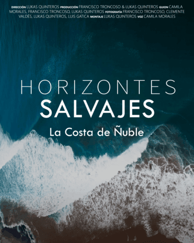 Horizontes Salvajes: La costa de ñuble