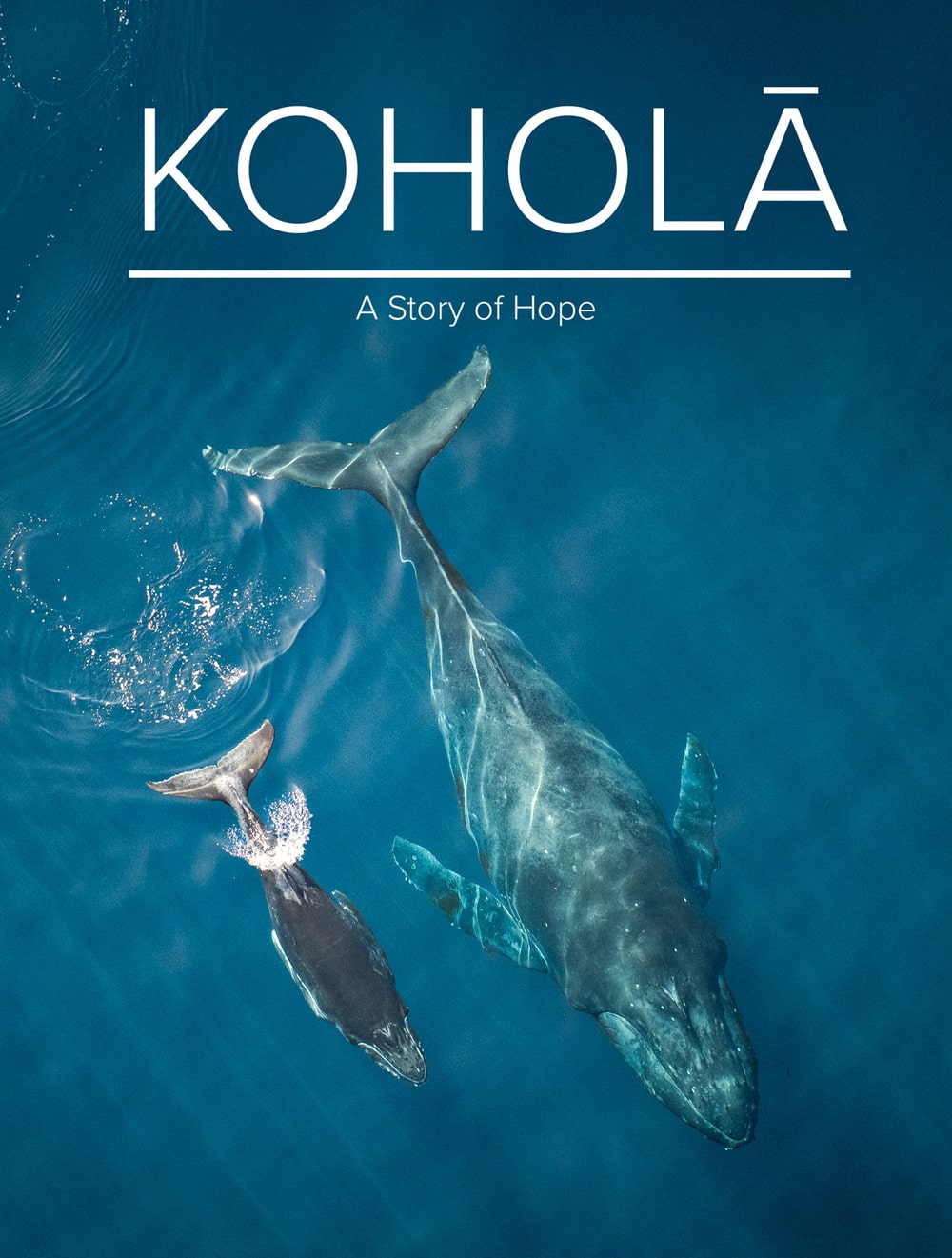 Koholā