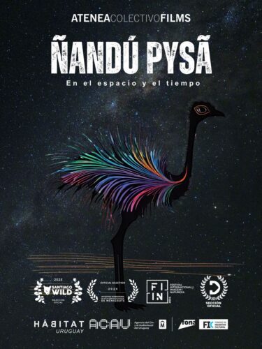 ÑANDU PYSA – En el espacio y el tiempo