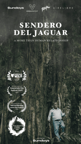 Sendero del Jaguar – A more than human relationship