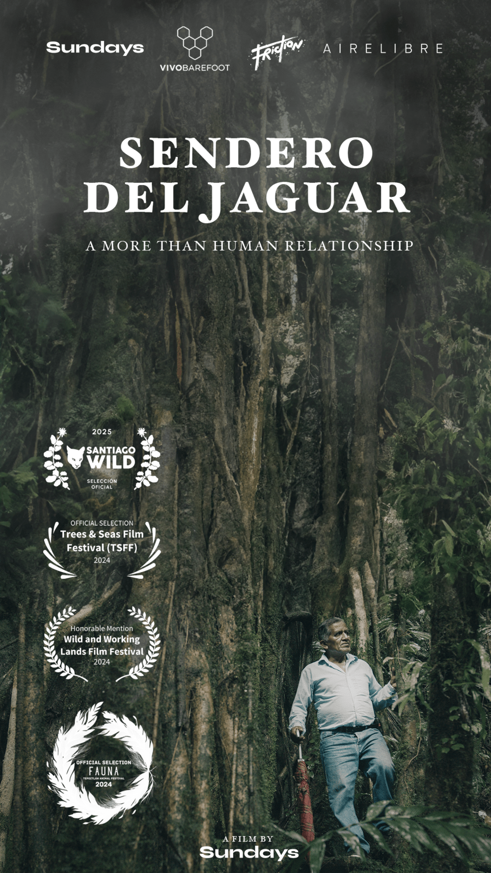 Sendero del Jaguar – A more than human relationship